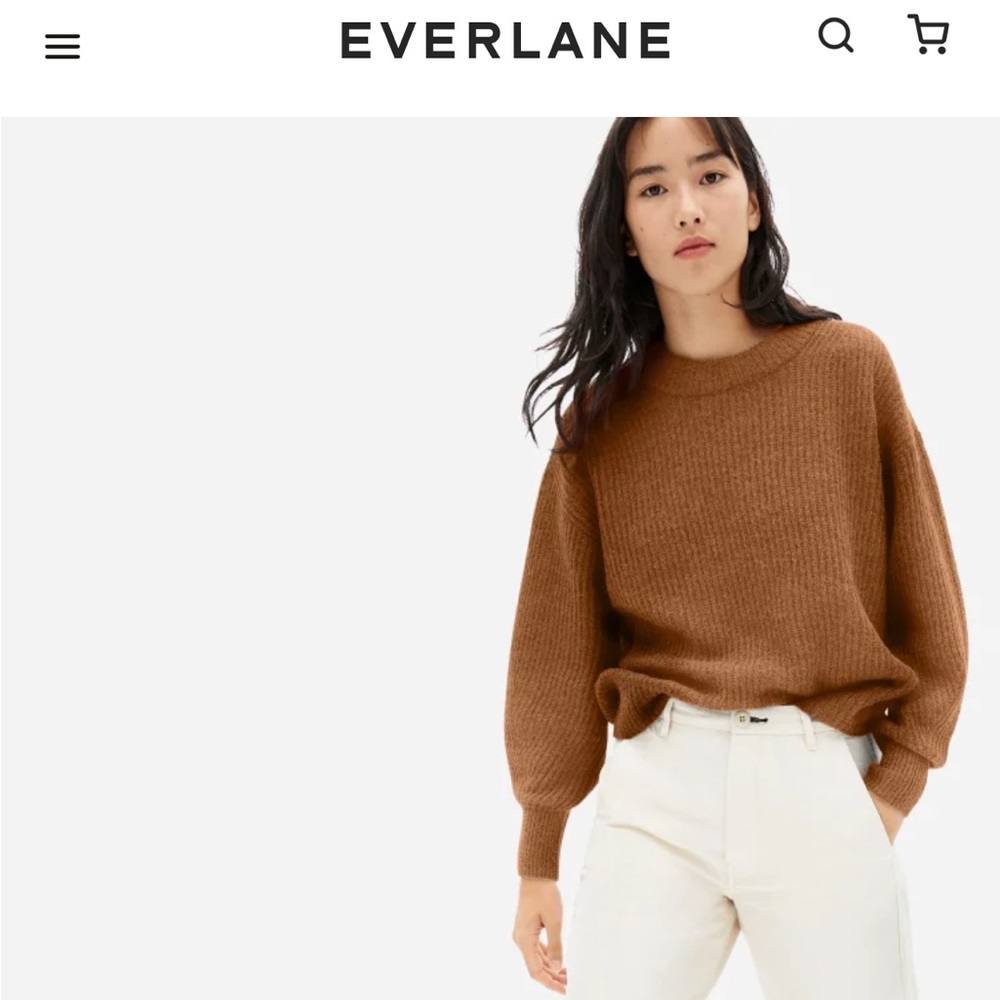 NWOT Everlane Alpaca Crew Sweater